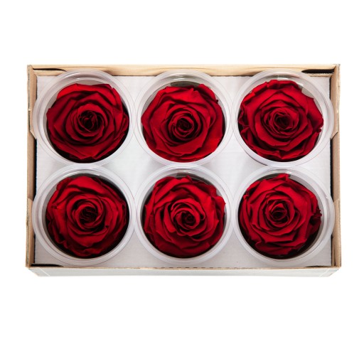 bordowe WIECZNE RÓŻE główki XL Rose Amor KOLORY
