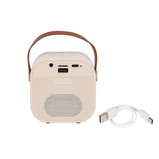 Bluetooth ДИНАМИК, 2 микрофона, ПОЛЬСКИЙ Караоке для детей