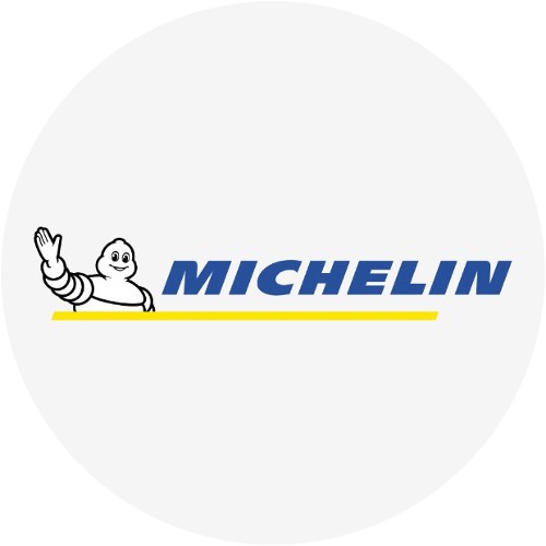 2x внедорожник Michelin Pilot Alpin 5 265/50R19 110H *