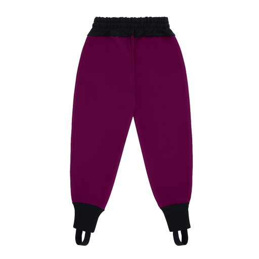 ТуШите | Брюки Softshell, изделие PL R.110