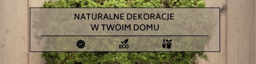 Картинка мох хроботек в рамке Елочка доски 60х40