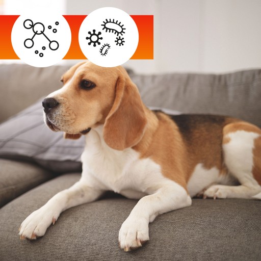 Средство для ПРОПИТКИ ТКАНИ, гидрофобного покрытия Sofa Protector 250 мл ОА