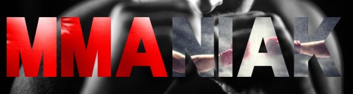 Щитки Fairtex SP5 Red L