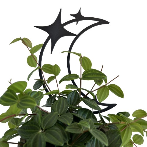 Podpórki do kwiatów roślin podpórka podpora pergola KSIĘŻYC M - 26cm