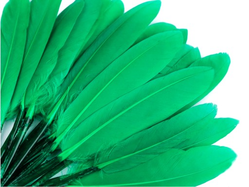 Pióra lotki kacze 8-14 cm ZIELONY JADEITOWY 10 szt /564