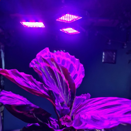 LAMPA DO WZROSTU HODOWLI UPRAWY ROŚLIN ŻARÓWKA 108 LED PANEL MOCNA 8W