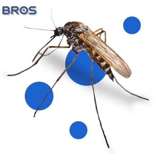 Спирали от комаров Bros., 6 шт., со стальной крышкой