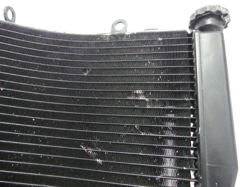 Полем Триумф скорость тройной 1050 11 + CH0 Cooler