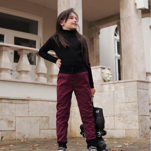ТуШите | Брюки Softshell, изделие PL R.110