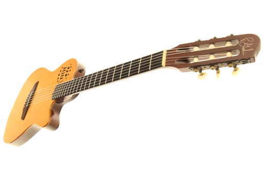 GODIN MULTIAC ACS электроклассический неограниченные возможности 13pin ROLAND