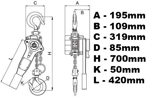 Wciągarka łańcuchowa hakowa WH9000 9T 9000KG PRO