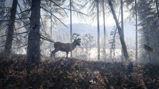 THEHUNTER CALL OF THE WILD RESERVE КЛЮЧ ДЛЯ XBOX PL