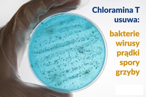 CHLORAMINA ŚRODEK DO DEZYNFEKCJI FILTRÓW WODY