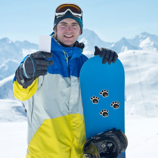 НАКЛЕЙКИ ДЛЯ СНОУБОРДА CARTOON GRIP TRACTION PADS
