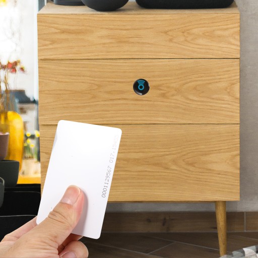 СКРЫТЫЙ ЗАМОК ДЕРЕВЯННЫЙ ШКАФ SMART WIRELESS