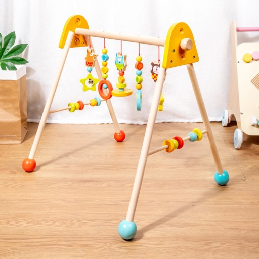 Рамка для детского фитнеса Baby Gym Activity Gym с