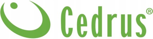 СТРОИТЕЛЬНАЯ БЕТОНОМИКШЕРА ЧУГУННЫЙ ВЕНОК CEDRUS BT220 220л