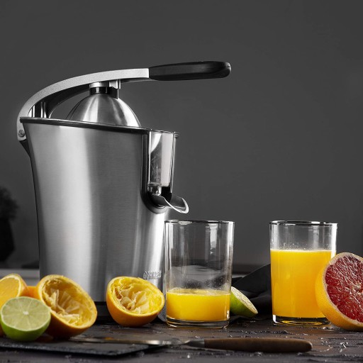 Соковыжималка для цитрусовых Princess Master Juicer