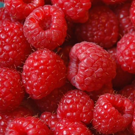 Сироп для карбонизатора Soda FruttaMax: МАЛИНА ЛАЙТ 500 мл на 12 л