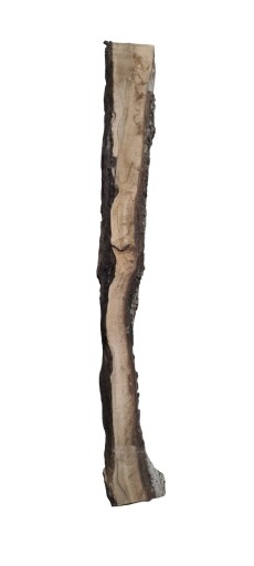 Orzech włoski, walnut, nussbaum, deski, tarcica 1730x80x52