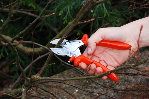 NOŻYCE SEKATOR KOWADEŁKOWY do GAŁĘZI LOWE 5 .107 mały 17,5cm + OSTRZAŁKA