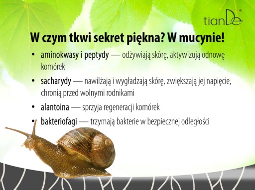 РЕГЕНЕРИРУЮЩИЙ КРЕМ ДЛЯ ГЛАЗ SNAIL SECRET tianDe
