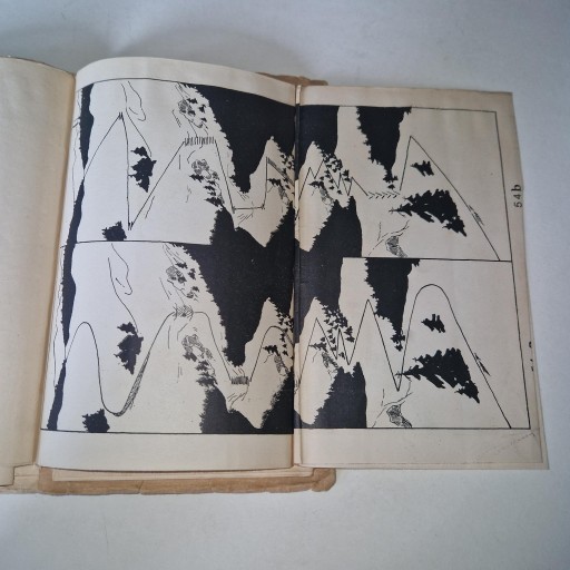 Руководство для инструкторов по катанию на лыжах Владислав Зенткевич 1930 г.