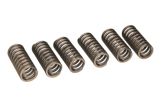 ПРУЖИНЫ СЦЕПЛЕНИЯ TRW LUCAS BMW F 650 GS 08-12, F 700 GS 16-20, F 800 GS