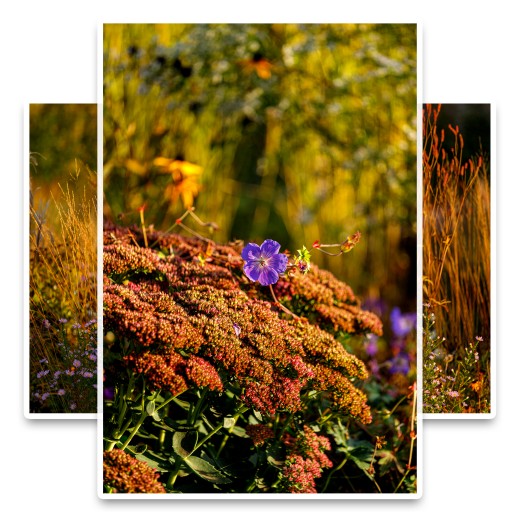 Wydruk 50x70 Epson