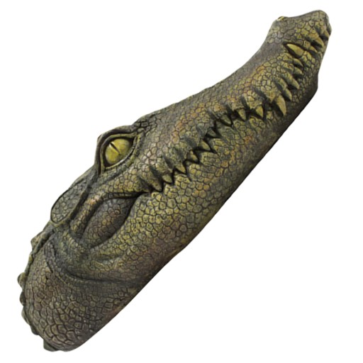 PŁYWAJĄCY KROKODYL WABIK STAWOWY ZWIERZĘTA Aligator