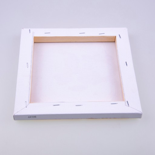 OBRAZ MALOWANIE PO NUMERACH Na Ramie 20x30 Frozen