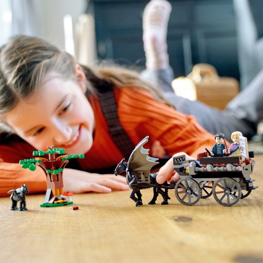 LEGO 76400 ГАРРИ ПОТТЕР Фестралы и карета Хогвартса