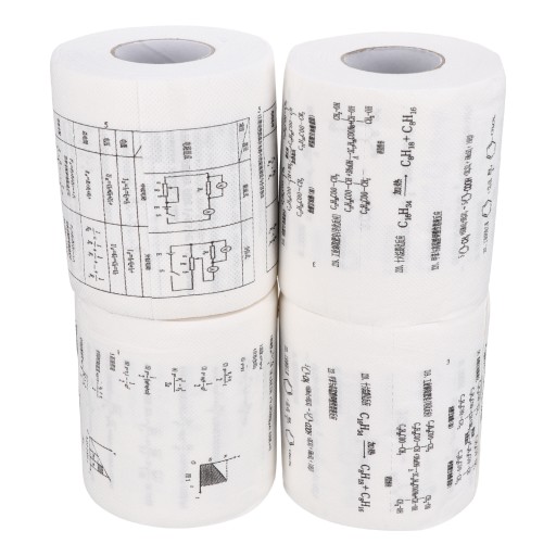 ZABAWNA FORMUŁA PAPIER TOALETOWY DOM