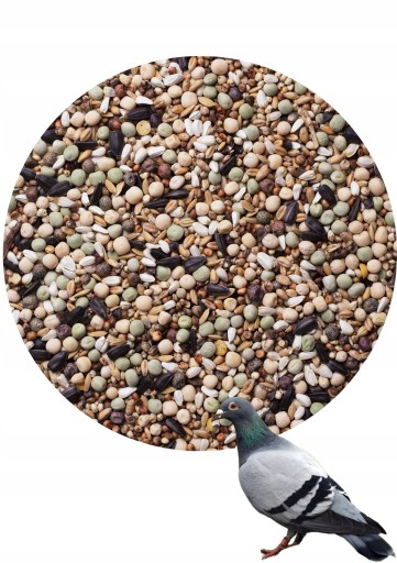 Karma dla gołębi Agro King MŁO - Młode Odchowowe 20kg