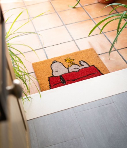 Коврик Snoopy интерьерный, кокос, 60x40 см