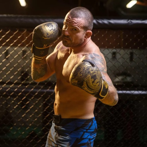 БОКСЕРСКИЕ ПЕРЧАТКИ GOLD DRAGON DBX BUSHIDO ДЛЯ ТРЕНИРОВКИ СПАРИНГА, 16 унций