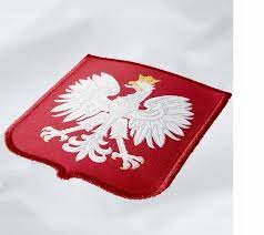 Футболка болельщика сборной Польши XL