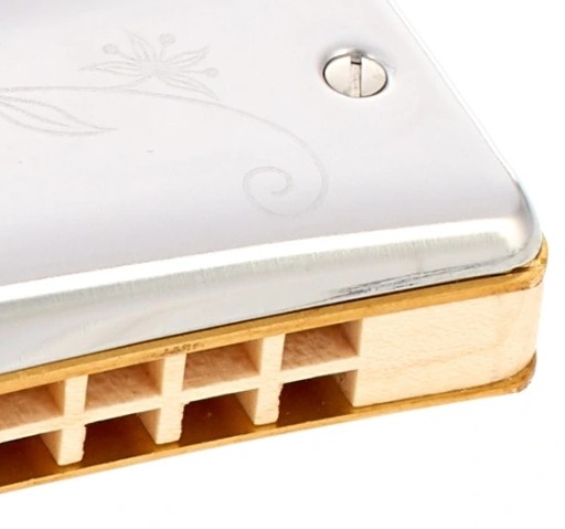 Unsere Lieblinge 6195/32 G Octave Harmonica G-Dur 32 Hohner Channels