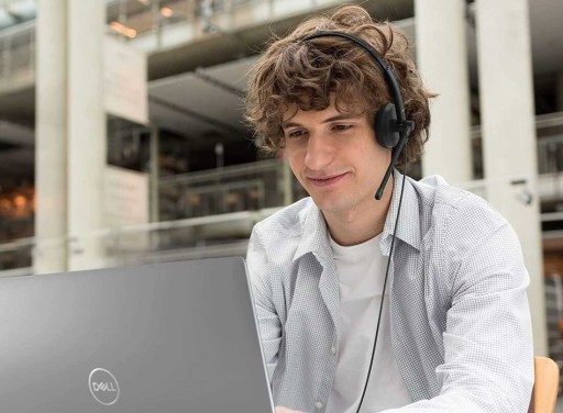 Наушники DELL WH1022