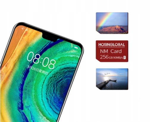 Карта памяти HOSINGLOBAL NM для Huawei 256 ГБ Nano