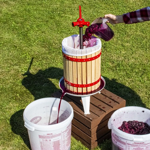 Drożdże winiarskie Burgund bez namnażania - 20 ml