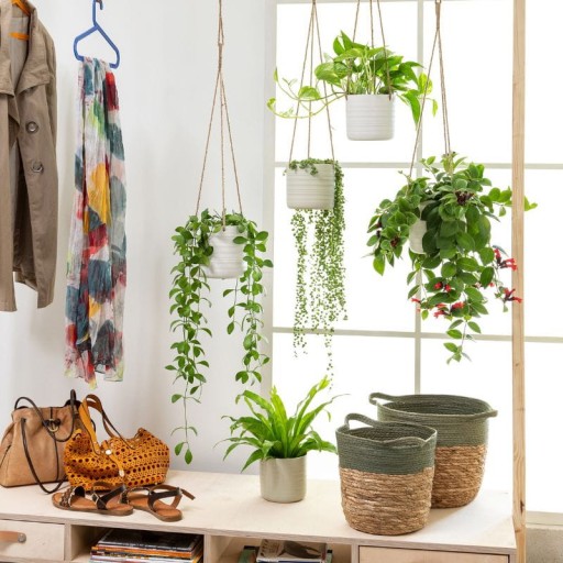 Кремовый чехол для цветочного горшка, подвесной на веревочке 450 Scheurich Soft Wool 14
