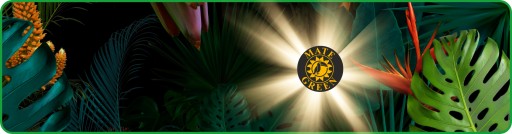 Yerba Mate Monte Verde Energia Гуарана Малиновый набор 2 x 500 + аксессуары