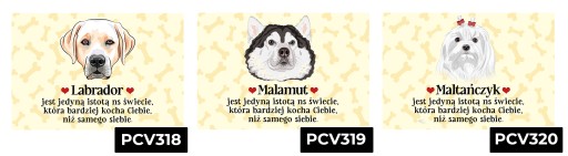 ЖЕЛТАЯ ТАРЕЛКА 22Х15СМ ЧИХУАХУА – ЕДИНСТВЕННОЕ СУЩЕСТВО, КОТОРОЕ ЛЮБИТ ВАС УЗОРЫ