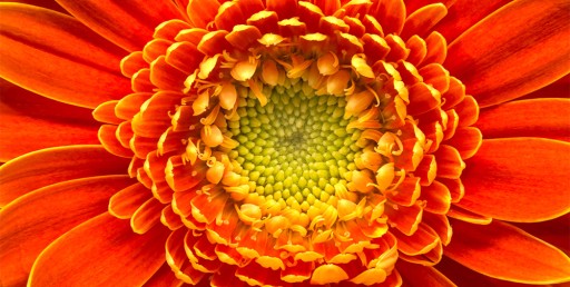 САМОКЛЕЯЩИЕСЯ фотообои Скалы Горы 104х70.