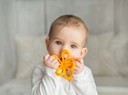 GiliGums Силиконовый успокаивающий прорезыватель FLOWER
