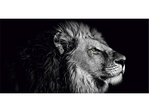 Постоянный защитный настольный мат 90x45 Lion King