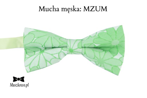 ZIELONY komplet męki Szelki i muszka do wyboru!