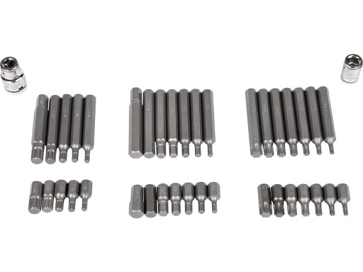 C1235 ВСТАВКА - НАБОР БИТ IMBUS,TORX И ШПЛАЙН, 40 ЭЛЕМЕНТОВ. + ПОДНОС C1101