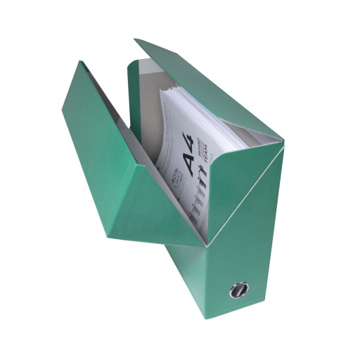 Exacompta 5x Экологическое архивирование А4, темно-зеленый 89933E